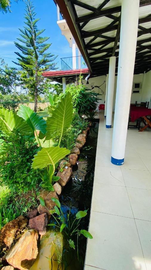 Owin Rose Yala Safari Hotel Tissamaharama Extérieur photo