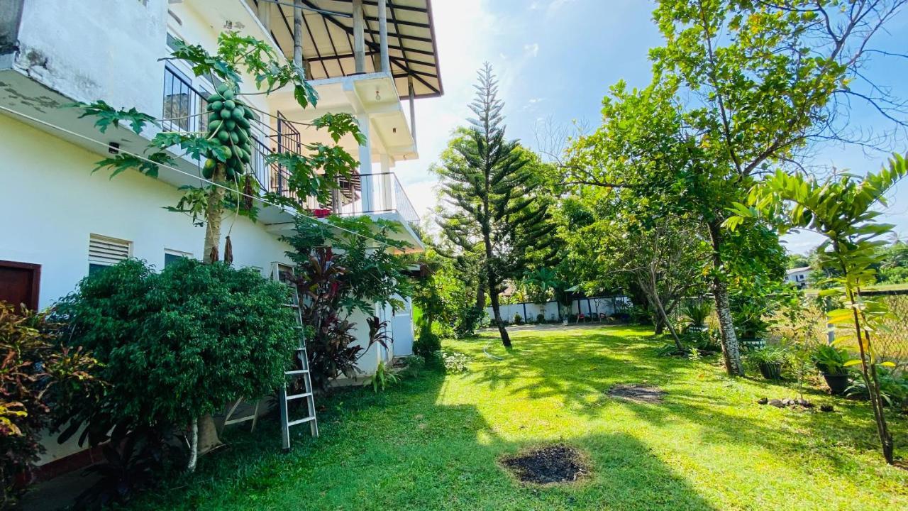 Owin Rose Yala Safari Hotel Tissamaharama Extérieur photo