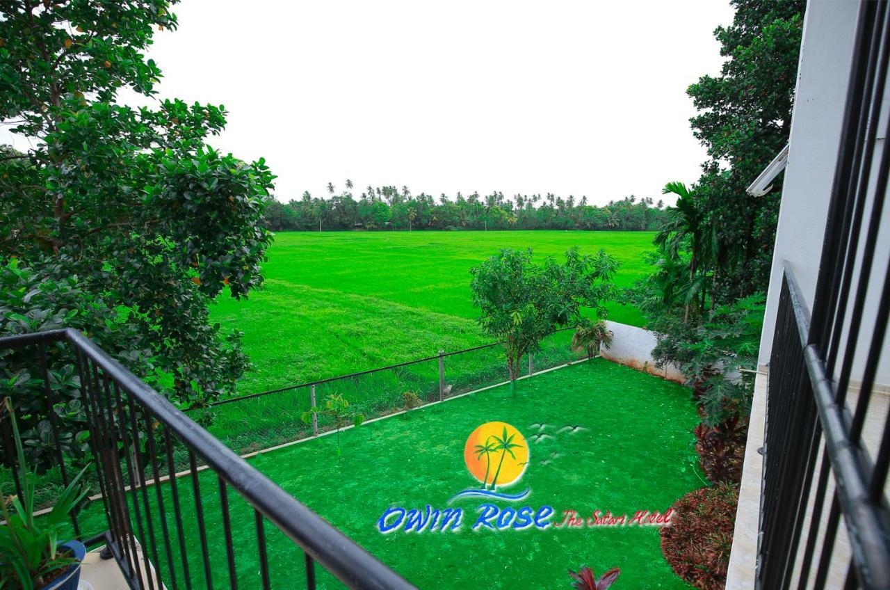 Owin Rose Yala Safari Hotel Tissamaharama Extérieur photo